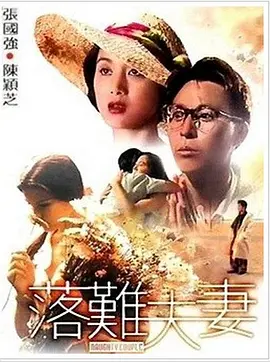 国产精品三极片